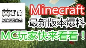 新闻爆料我的世界视频,Minecraft视频背后的真实故事